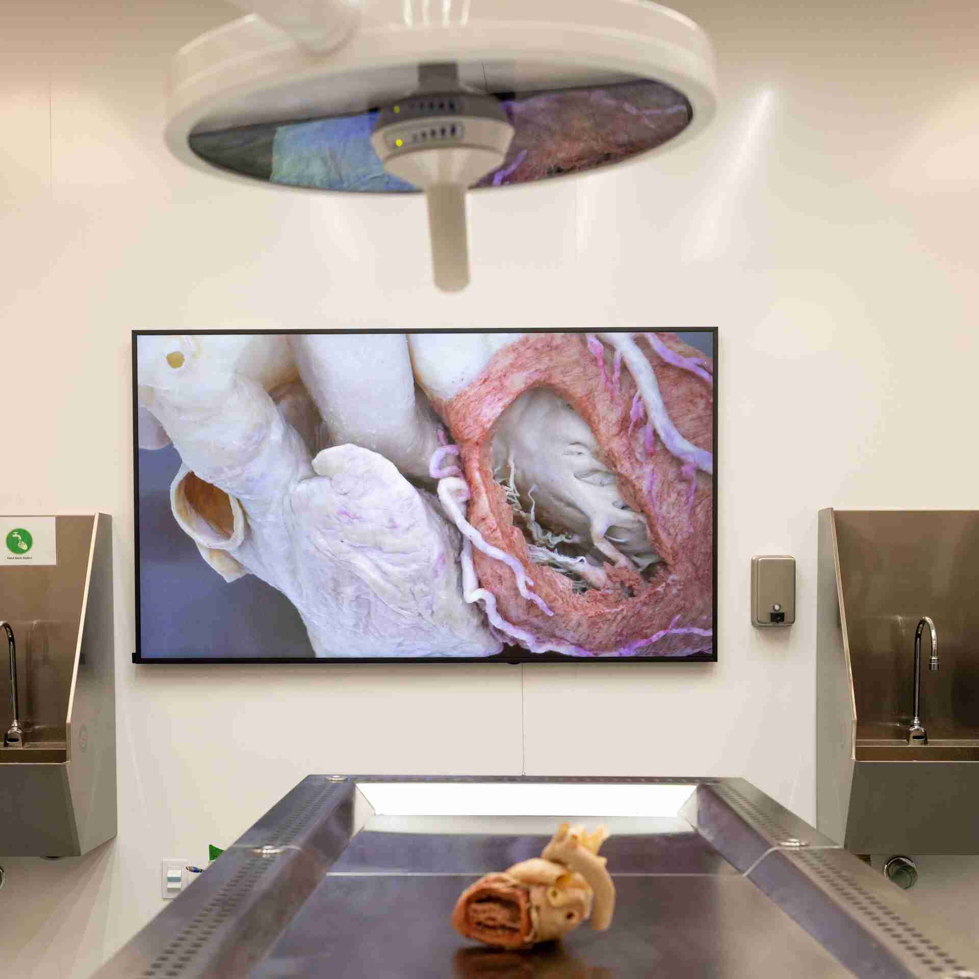 Joint Medical Degrees in the Maritimes - clinical-simulation-display